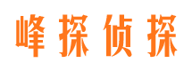 梨树找人公司